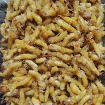 油炸蜂蛹