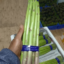 云南楚雄高原精品绿芦笋