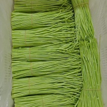 芦蒿