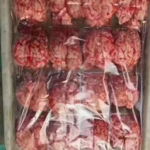羊脑