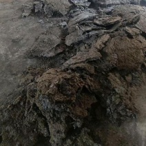 热卖推荐湖南温氏鸡粪常年供货谷壳鸡粪产地直供欢迎