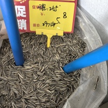 电商，实体。瓜子大量接单内蒙古原产地一件代发