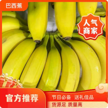 优选广西巴西蕉大量上市量大价优质量保证