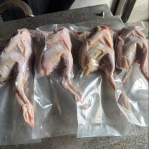 半净膛9两以上的鹧鸪