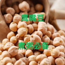 生嘴豆木垒新豆鸡心豆煮粥打豆浆五谷杂粮粗粮豆粮食健身食材