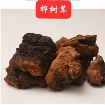 正宗桦树茸白桦茸非野生桦褐孔菌黑金天然胰岛素颗粒纯黑金包