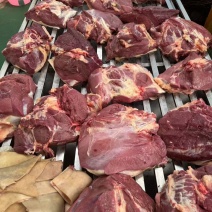 活驴现宰驴肉驴皮驴头自产自销代发全国市场长期供货