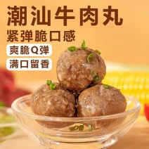 潮汕牛肉丸牛筋丸特产地道美食手工手打麻辣烫火锅用料