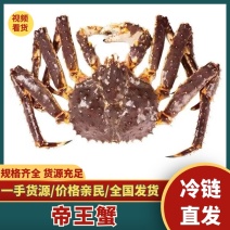 帝王蟹冷冻特大螃蟹冰鲜海鲜水产