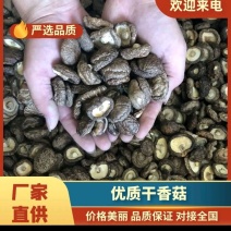 2025年优质干香菇，柄短，肉厚，朵形规整，干度好