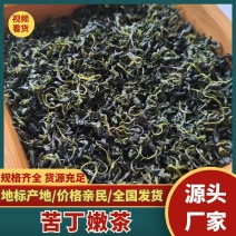 苦丁茶嫩芽大量上市吃，产地直发，品质保证服务周到