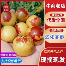 山东沾化区冬枣日产量10万斤对接超市批发市场，电商平台