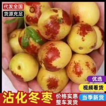 沾化冬枣/大量上市/质量保证一手货源可视频看货