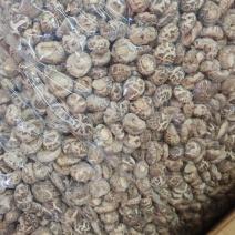 干香菇，精品小花菇，房县小花菇，特级小花菇质量保证