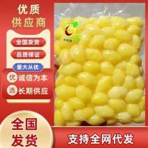白果银杏（米）仁现货基地直供保质保量