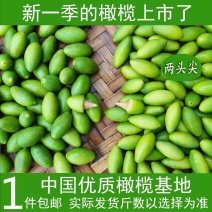 包邮）新鲜两头尖橄榄果新鲜现摘现发青果纯正天然原味青橄榄