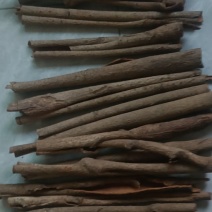广东罗定桂皮