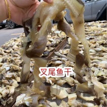 叉尾鱼干展会地摊电商叉尾鮰鱼叉尾鱼干干鱼