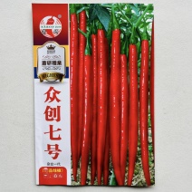 萧研众创七号长线椒辣椒种子抗病高产果皮光亮辣度强青红两用