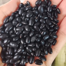 黑豆中药材药食同源2斤包邮量大优惠