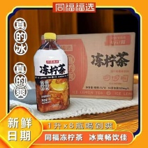 同福冻柠茶1*8瓶箱装全国招商，价格低，