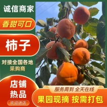 阳丰甜柿，口感脆甜多汁，货源充足，价位合适，
