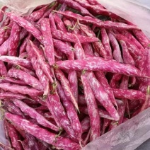 花豆大量上市中每天价格随行就市