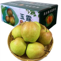 正宗新疆库尔勒玉露香梨，一件代发，全国包邮。