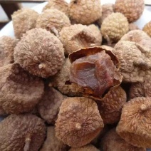 荔枝干桂味