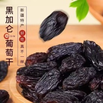新疆特产黑加仑免洗颗粒无籽无核吐鲁番提子干果批