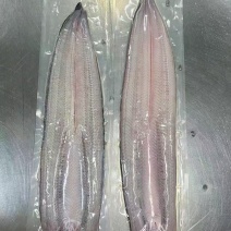 冷冻生鳗片规格齐全可定制可视频看货选货