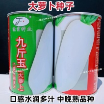 大白萝卜种子九斤白玉大萝卜种籽中晚熟大根萝卜籽种香甜脆嫩