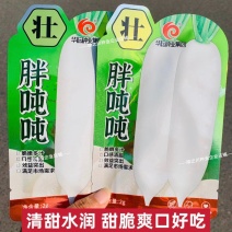 胖吨吨甜脆大白萝卜种籽特大号白萝卜种子秋季耐寒蔬菜种子