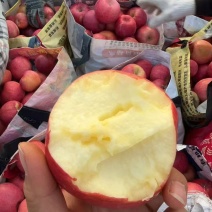 合阳秦脆苹果
