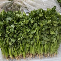 唐山铁杆青香菜