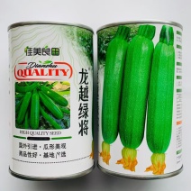 龙越绿将西葫芦种子云南西南热销翠绿色西葫芦种籽春秋季角瓜