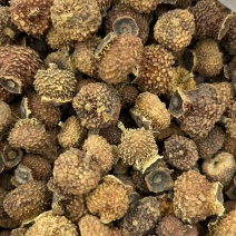 刺梨果