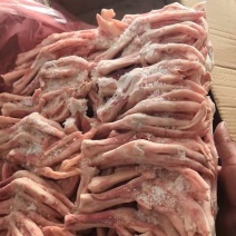 一级鹅掌