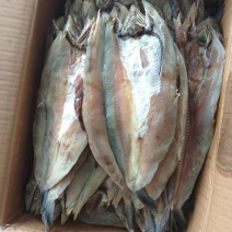 香梭鱼片，开背去内脏一件净重29斤，供应电商，市场