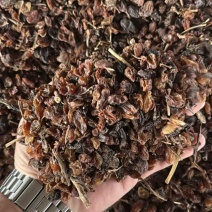 新疆吐鲁番葡萄干食品加工饲料加工专用葡萄干