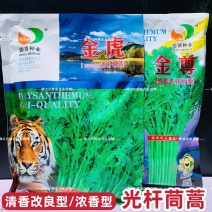 金虎浓香型光杆茼蒿种子皇帝菜种籽美味耐寒清香茼蒿菜种子