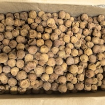 越南荔枝干，无硫烘干，品质优良