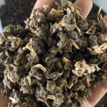 猫爪草