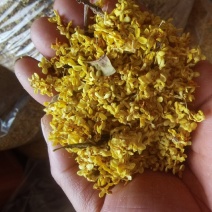 出售干桂花，寻求厂家合作