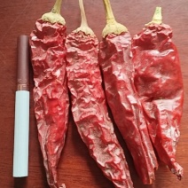 红龙23大量现货新货已开卖，价格实惠支持一件代发