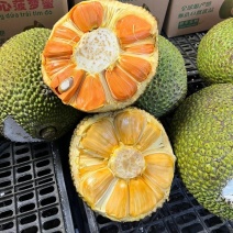 泰八菠萝蜜红肉奶香味基地新鲜直发品质保障可整车走一件代发