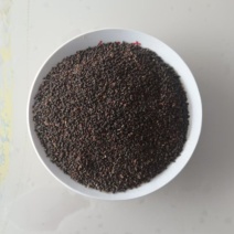 山东德州野生中药材茼麻子农户采摘纯野生中药货量有限抓紧抢