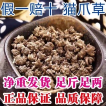 正宗野生猫瓜草正品干货野生水洗旡硫猫爪草