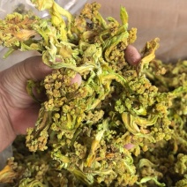 脱水花菜干