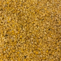 碎黄豆瓣